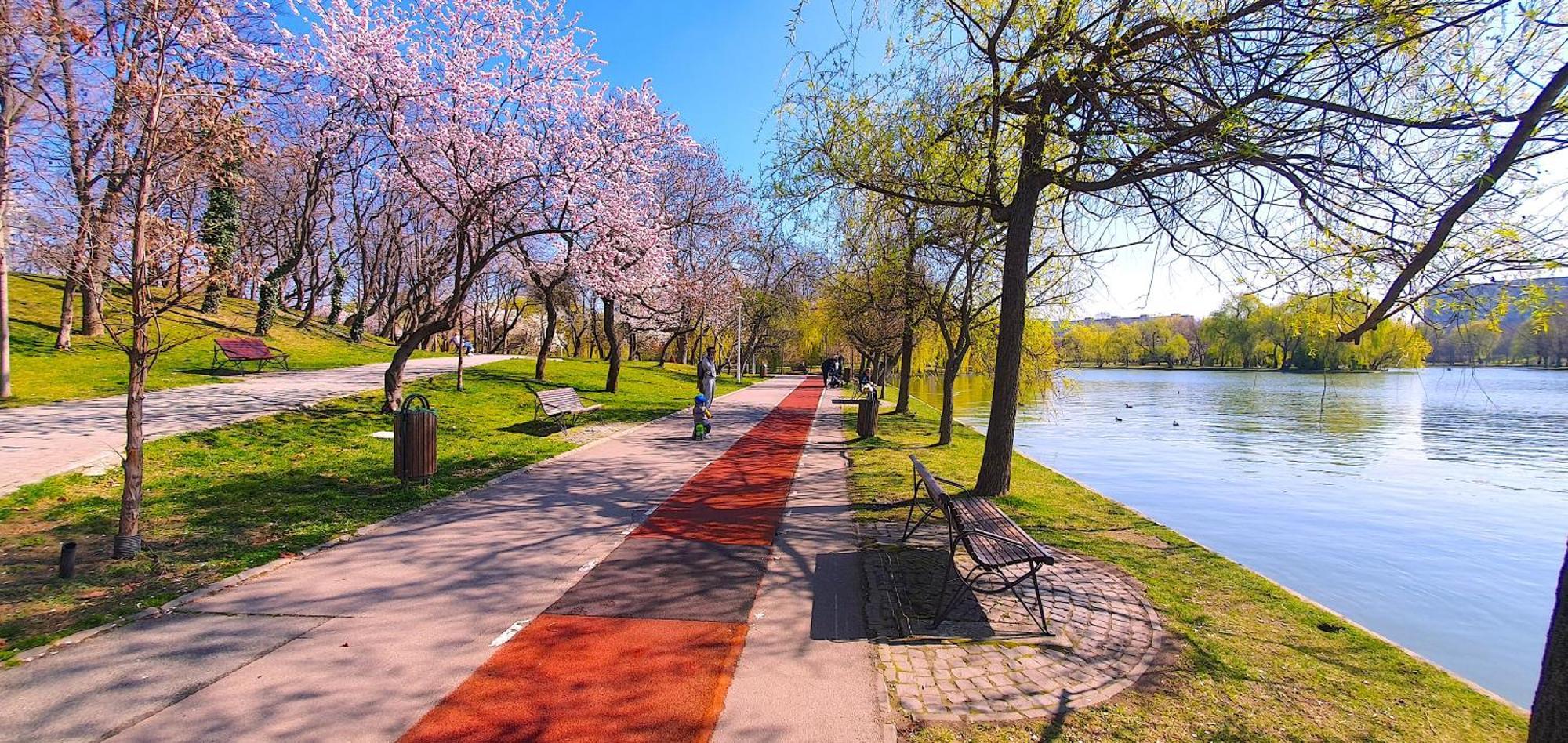City Break Park Studio Бухарест Экстерьер фото